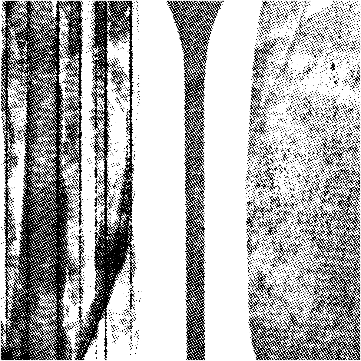 REF - 0037 - A3 - SERIGRAFIA - Segunda imagem